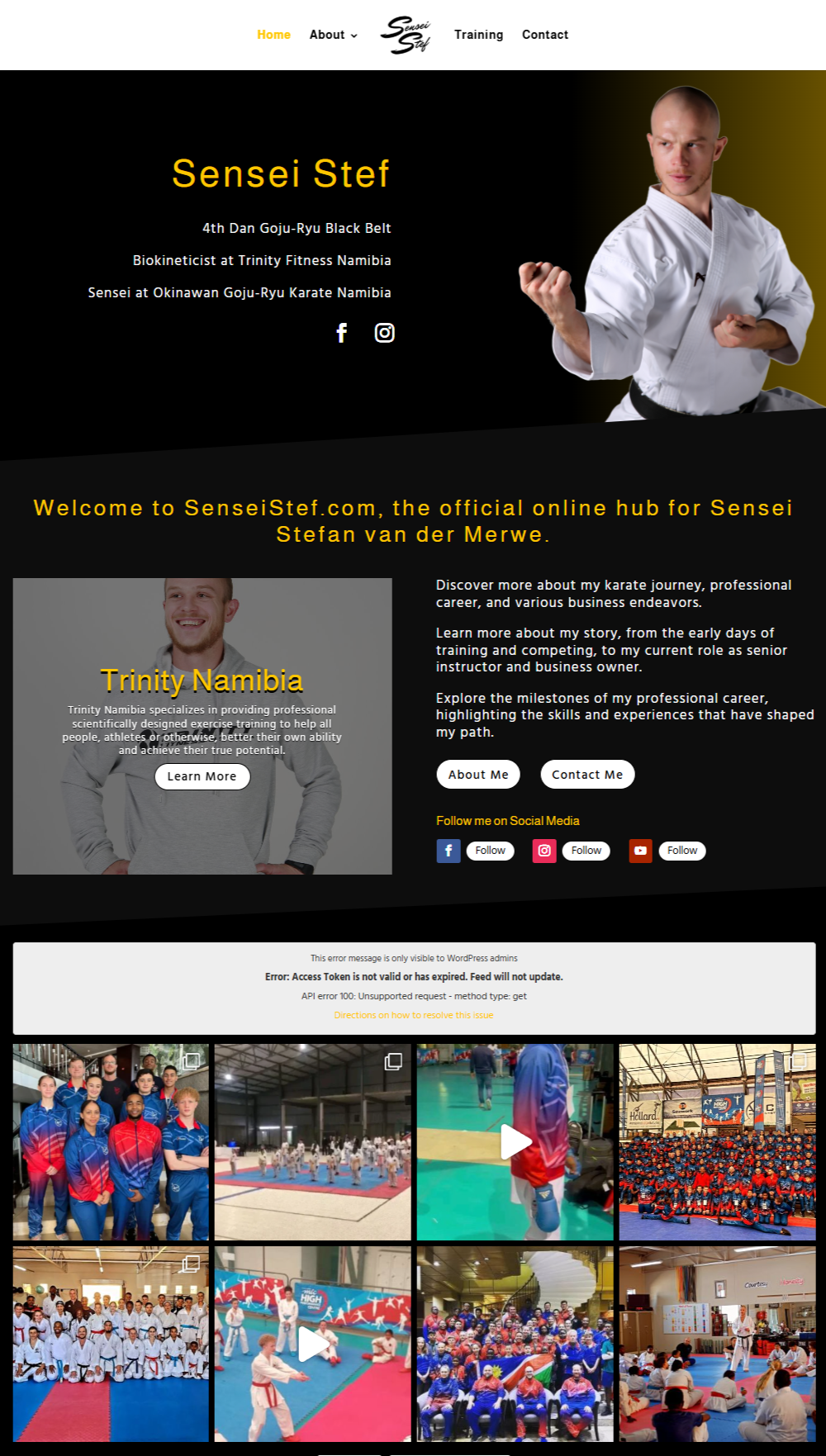 SenseiStef Full Page